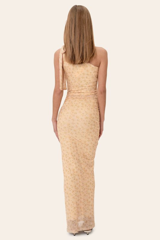 Nova Mesh Dress