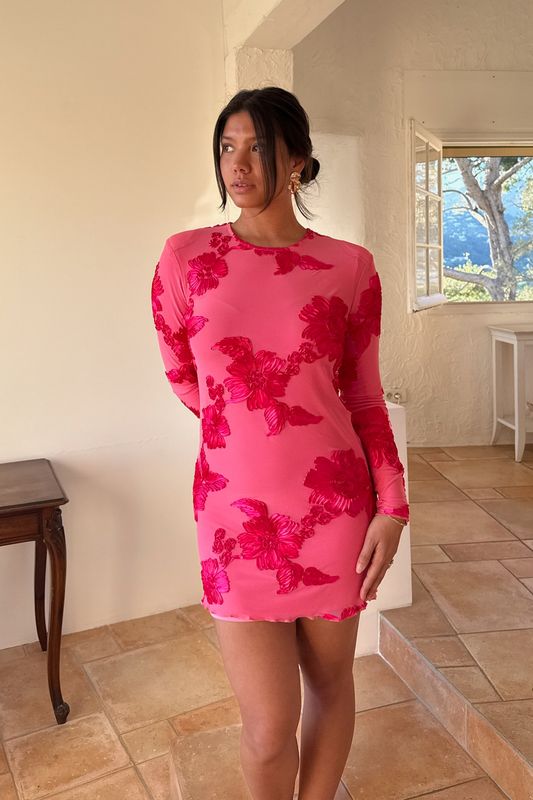 Malou Mesh Dress