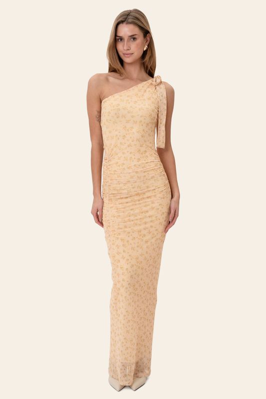 Nova Mesh Dress