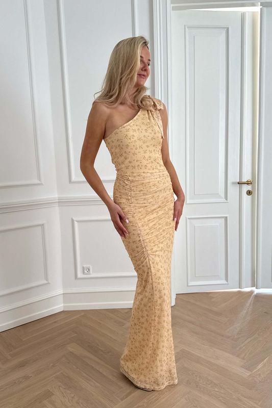 Nova Mesh Dress
